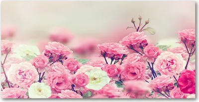 Produktbild von Tulup® Leinwandbild - 140x70 cm - Wandkunst - Drucke auf Leinwand - Leinwanddruck  - Blumen & Pflanzen - Rosa - Blumen Rose