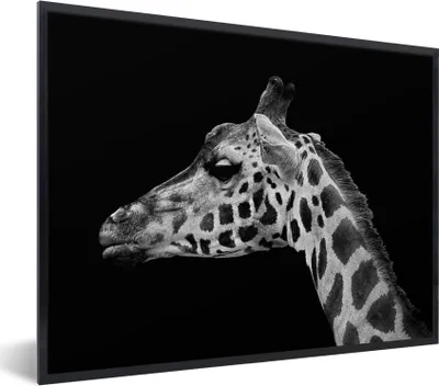 Produktbild von MuchoWow® Gerahmtes Poster Tiere - Giraffe - Schwarz - Weiß 80x60 cm - Poster mit Schwarzem Bilderrahmen Wandposter Rahmen Foto Bilder - Schwarzem - Mit Gestell