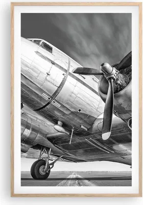 Produktbild von Gerahmtes Poster - Rahmen in heller Eiche - Flugzeug Retro Flugzeug - 61x91,5 cm - Wand Bild - Wanddeko - Wandbilder - Kunstposter - Wandposter - Bilderrahmen - Bilder - Kunstdruck - P2NPA61x91-4952