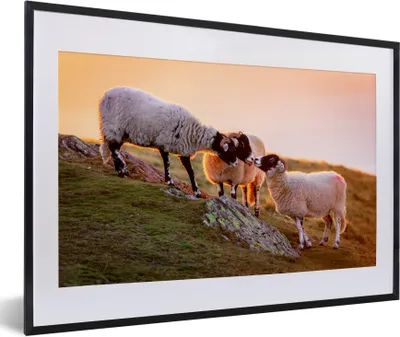 Produktbild von MuchoWow® Gerahmtes Poster Schafe - Tiere - Sonnenuntergang 60x40 cm - Poster mit Schwarzem Bilderrahmen Wandposter Rahmen Foto Bilder - Schlafzimmer - Plakat in Rahmen - Drucken