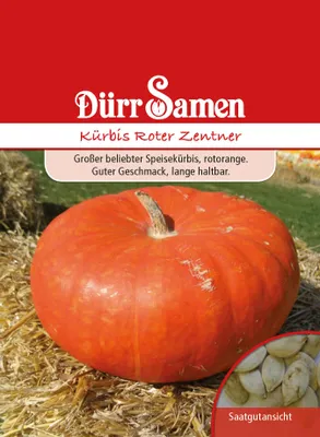 Produktbild von Kürbis Roter Zentner | Kürbissamen von Dürr Samen