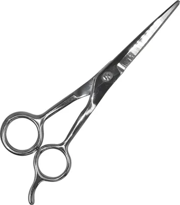 Produktbild von Nobby Fellschere, Edelstahl 17 cm