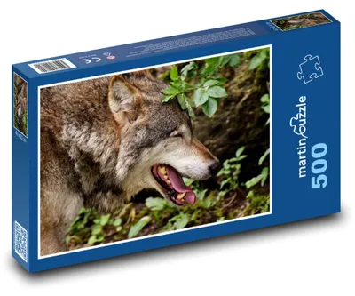 Obrázok produktu pre Puzzle 500 Vlk v Zelenom Lese - martinpuzzle