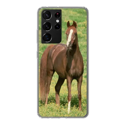 Produktbild von MuchoWow® Handyhülle Schutzhülle Hülle für Samsung Galaxy S21 Ultra Pferde - Gras - Braun Silikon Softcase Handy Hülle - Mobiltelefon