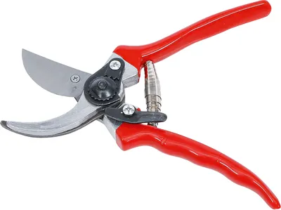 Image de KRAFTMANN 9111 Ciseaux de jardinage en métal léger, 210 mm