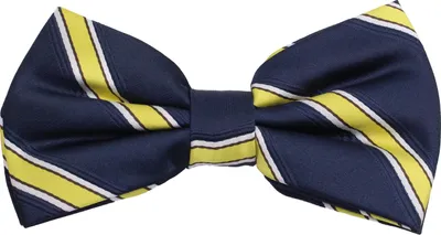 Produktbild von Fabio Farini - 1 Stück Herren Streifen Fliegen - Männer Querbinder Vorgebunden Bowtie Streifen - Dunkelblau/Gelb/Weiß