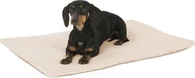 Produktbild von Famanu Liegekissen selbstwärmend für Hunde und Katzen - Isolierend, Ritselfrei, Waschbar, Beige, 120 x 75 x 3 cm