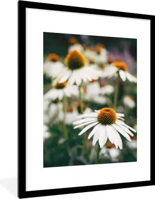 Produktbild von MuchoWow® Gerahmtes Poster Blumen - Herbst - Botanisch 60x80 cm - Poster mit Schwarzem Bilderrahmen Wandposter Rahmen Foto Bilder - Wohnzimmer - Dekorationen - Prämie