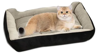 Image de Solidchoice - Panier pour animaux lavable, doux et confortable pour chiens et chats