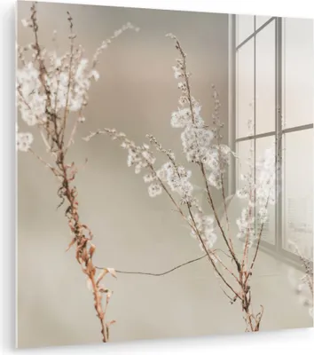 Produktbild von MuchoWow Glasbilder - Bilder auf Wandbild - Foto auf Glas Blumen - Weiß - Pflanzen 40x40 cm Wanddekoration aus Glas - Acrylglasbild - Acrylbilder