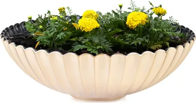 Produktbild von Dekoschale runde Pflanzschale für draussen champagner gold 22 cm