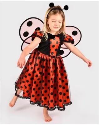 Produktbild von Den Goda Fen Marienkäfer-Kostümkleid mit Zubehör 98-104 cm