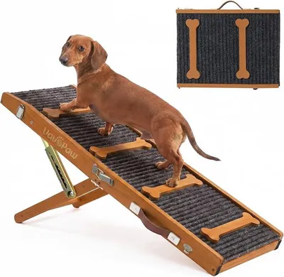 Imagen del producto de Rampa para sofá, ideal para perros pequeños de hasta 15 kg, plegable