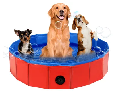 Produktbild von Faltbarer Hundepool für Hunde und Katzen, tragbares Planschbecken in Rot, für drinnen und draußen (100 cm Durchmesser x 30 cm)