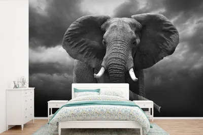 Produktbild von MuchoWow® Fototapete für Wohnzimmer oder Schlafzimmer Wandtapete Vinyl Motivtapete Afrikanischer Elefant gegen die dunklen Wolken - schwarz und weiß - 525x350 cm - Das Hintergrundbild