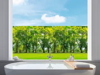 Produktbild von Fensterfolie Venilia Vitrostatic Forest Wald 67,5x150 cm