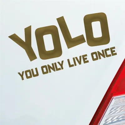 Produktbild von Auto Aufkleber YOLO You only live once Leben Genießen Abenteuer 12x6 cm Gold Sticker Heckscheibenaufkleber