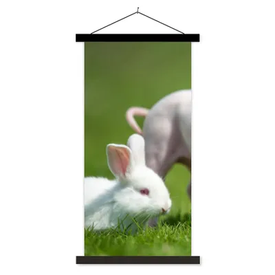Produktbild von MuchoWow® Textilposter Ferkel - Kaninchen - Tiere 60x120 cm mit schwarzem Rahmen - Magnete