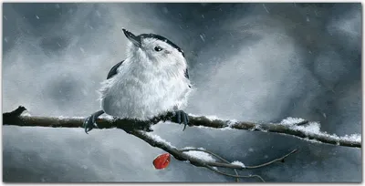 Produktbild von Coloray Bild aus Leinwand 100x50 Leinwand Dekoration - Pet Vogel Winter Schnee