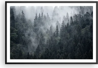 Produktbild von Gerahmtes Poster - Schwarzer Rahmen - Wald Baum Natur - 91,5x61 cm - Wand Bild - Wanddeko - Wandbilder - Kunstposter - Wandposter - Bilderrahmen - Bilder - Kunstdruck - Wandbild - P2BAA91x61-4074