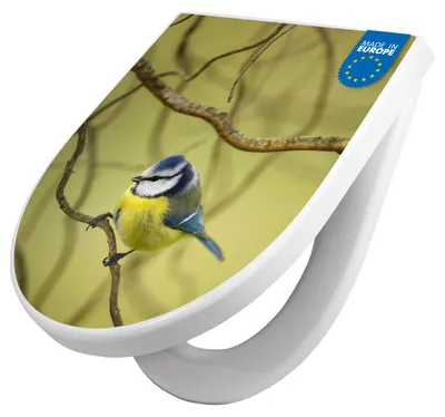 Produktbild von WC Sitz mit Absenkautomatik D Form Motiv Blaumeise im Baum [TDW3 12828]