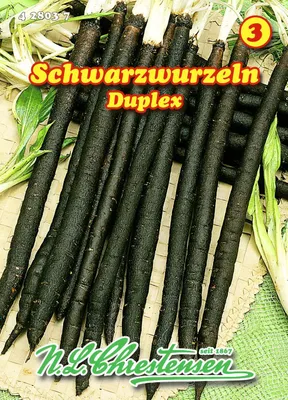Produktbild von Schwarzwurzel Duplex | Schwarzwurzelsamen von N.L. Chrestensen