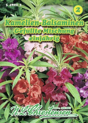 Produktbild von Kamelien Balsaminen | Blumensamen von N.L. Chrestensen [MHD 01/2026]