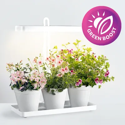 Imagen del producto de Lámpara LED para plantas BLOOM de 20W, luz LED de espectro completo para plantas de interior, con altura ajustable