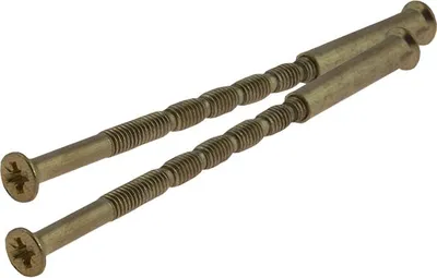 Obrázek produktu pro Sada patinovacích šroubů (2 ks) průměr 4, délka 8 cm