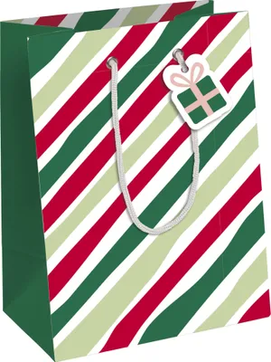 Produktbild von Clairefontaine 6x Geschenktasche, 21,5x10,2x25,3cm - Mehrfarbig X-30882-3C