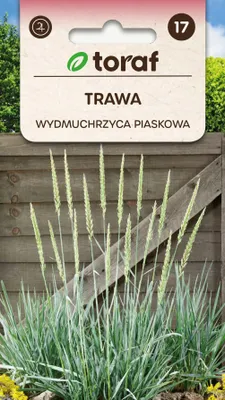 Zdjęcie produktu dla Trawa Wydmuchrzyca piaskowa zielona Nasiona kwiatów - 667 Toraf