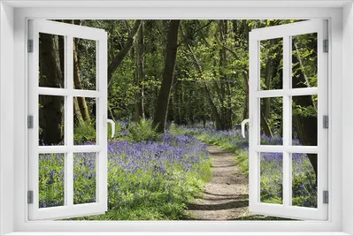 Produktbild von Wallario selbstklebendes Poster mit Fenster-Illusion - Wiese voller blauer Hasenglöckchen im Wald, Größe: 61 x 91,50 cm