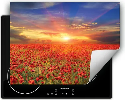 Produktbild von DarHaus Herdabdeckplatte 70x52 cm Anti Rutsch Matte Aufrollbar, rot - Mohnblumen
