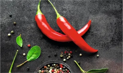 Produktbild von Küchenrückwand mySpotti Profix Chili 100 x 60 cm PX-10060-749-HB