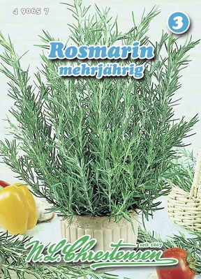 Artikelbild 1 von 'Rosmarin' aus der Kategorie Rosmarinsamen