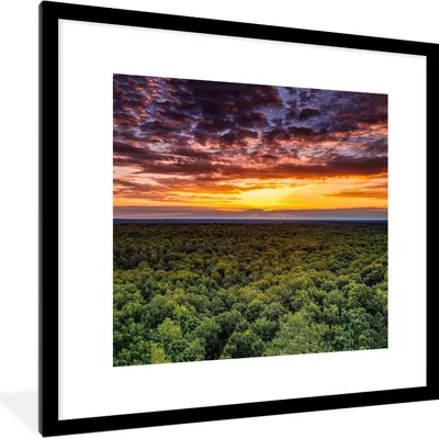 Produktbild von MuchoWow® Gerahmtes Poster Wald - Nacht - Himmel - Horizont - Bäume 40x40 cm - Poster mit Schwarzem Bilderrahmen Wandposter Rahmen Foto Bilder - Poster - Plakat im Rahmen