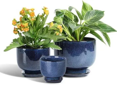 Produktbild von Keramik-Indoor-Pflanzpotten - 6,8/5,5/4,3 Zoll Planter mit Drainloch und Unterteller für Sukkulente Orchidee Blumen Kräuter Kakteen - Gartenzubehör Büro Dekoration - Set aus 3 Blau