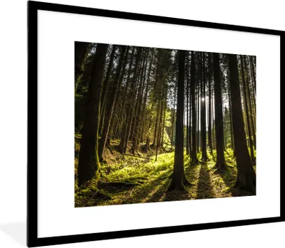 Produktbild von MuchoWow® Gerahmtes Poster Baum - Natur - Sonne - Wald 80x60 cm - Poster mit Schwarzem Bilderrahmen Wandposter Rahmen Foto Bilder - Schlafzimmer-Dekorationen - Fotoposter