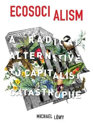 Produktbild von Ecosocialism