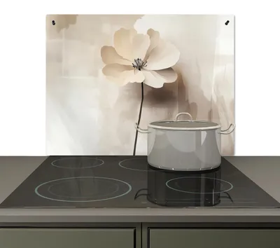 Image de Protection contre les éclaboussures et protection de plaque de cuisson pour la cuisine