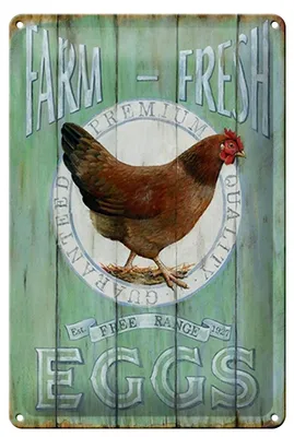 Produktbild von Blechschild Spruch 20x30cm Huhn Farm fresh Eggs free range