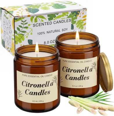 Produktbild von Zitronella-Kerzen für den Außenbereich, Set mit 2 Stück, Sojawachs, Duftkerze im Glas, für den Außenbereich, Zitronella-Duftkerze für Garten, Balkon und Camping, Garten