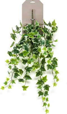 Produktbild von Warentuin Producten