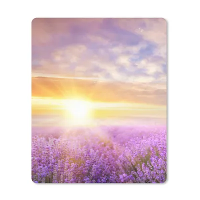 Produktbild von MuchoWow® Mauspad Mousepad Lavendel - Sonne - Himmel - Natur 19x23 cm - Mousepads - Maus Mat - Pad - Mausunterlage - Mauspads - Spielen