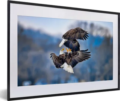 Produktbild von MuchoWow® MuchoWow® Gerahmtes Poster Adler - Vogel - Himmel 60x40 cm - Poster mit zchwarzem Bilderrahmen - Schlafzimmer - Plakat in Rahmen - Drucken
