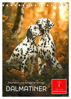 Produktbild von Dalmatiner - freundlich und temperamentvoll (Tischkalender 2027 DIN A5 hoch), CALVENDO Monatskalender