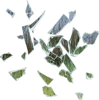 Imagen del producto de Estos New Puritans: Field Of Reeds (Edición del 10º aniversario) - (LP / F)