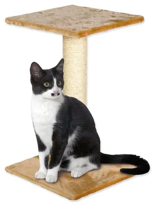 Zdjęcie produktu dla Legowisko Magic Cat Beata beżowe 38x38x60cm