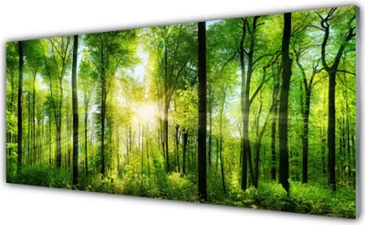 Produktbild von Glasbilder 125x50 Wandbild Druck auf Glas Wald Natur
