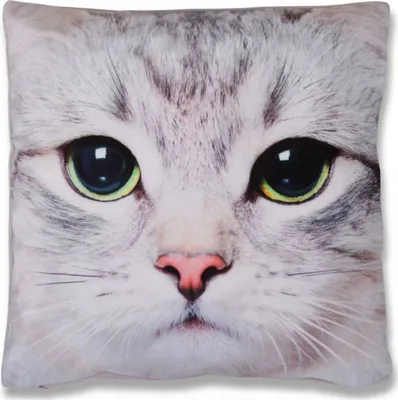 Produktbild von Kissenbezug Fotodruck Motiv in 40x40 cm, Flauschig weiche Kissenhülle ohne Füllung, Motiv: Katze